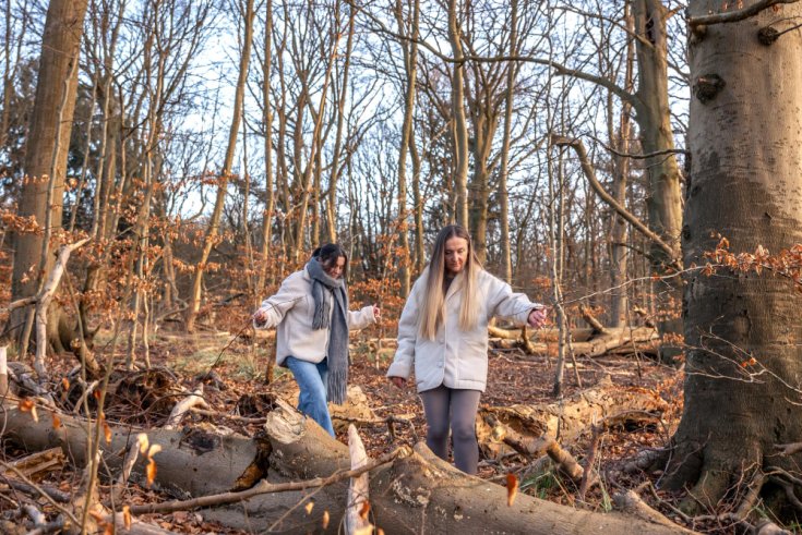 Why Healthy Trees Can Still Fall Without Warning